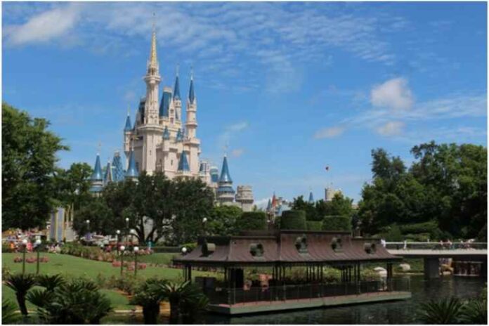 The Happiest Place: 5 of the Best Attractions at Disney World for Adults