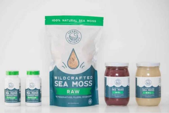Sea Moss Pills vs Gel: What Are the Differences?