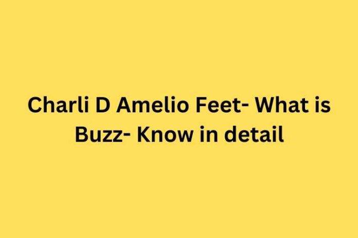 Charli D Amelio Feet- What is Buzz- Know in detail